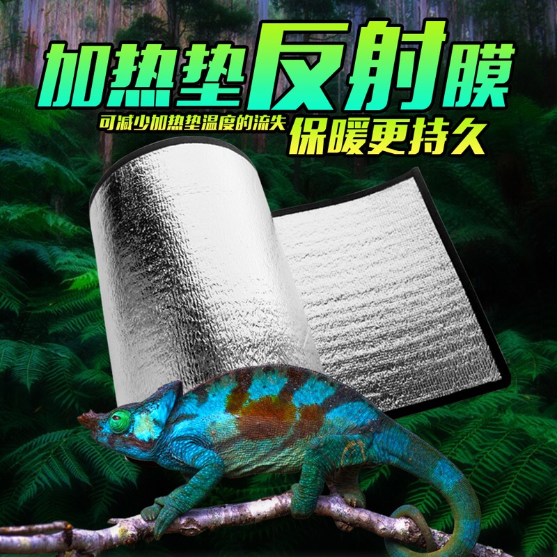 爬虫饲养陆龟蜥蜴蜘蛛刺猬鹦鹉