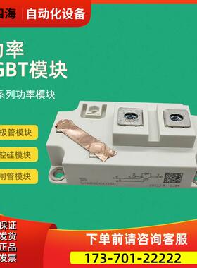 功率IGBT模块SKM600GA17E4 SKM800GA173D SKM800GA174D【议价】