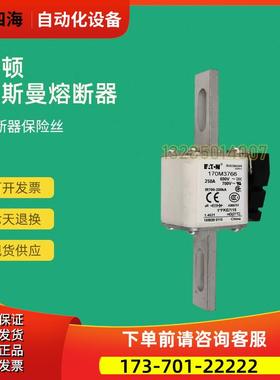 快速熔断器保险170M3764 170M3765 170M3766 170M3767【议价】