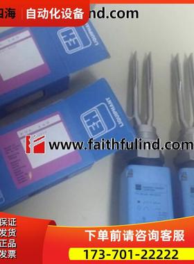 E+H FTL160GR-10GC20K 恩德斯豪斯音叉式物位计【议价】