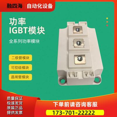 功率IGBT模块SKM200GB17E4 SKM300GB17E4 SKM300GB17E4H16议【议