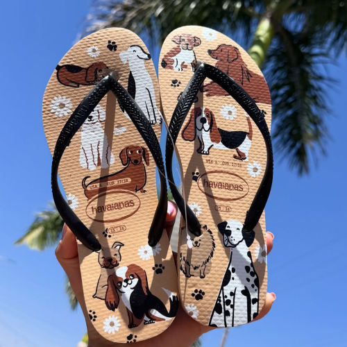 哈瓦那havaianas Pets宠物系列人字拖夏季度假平底沙滩凉拖女