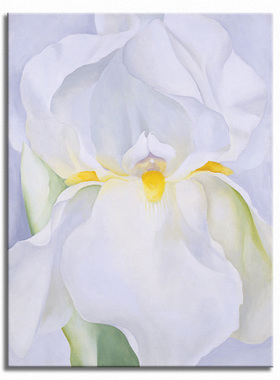 白色欧姬芙艺术风书房玄关装饰画