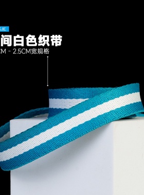 蓝色间白色织带背带装饰带子背包带子INS风格间色带子2CM宽2.5CM