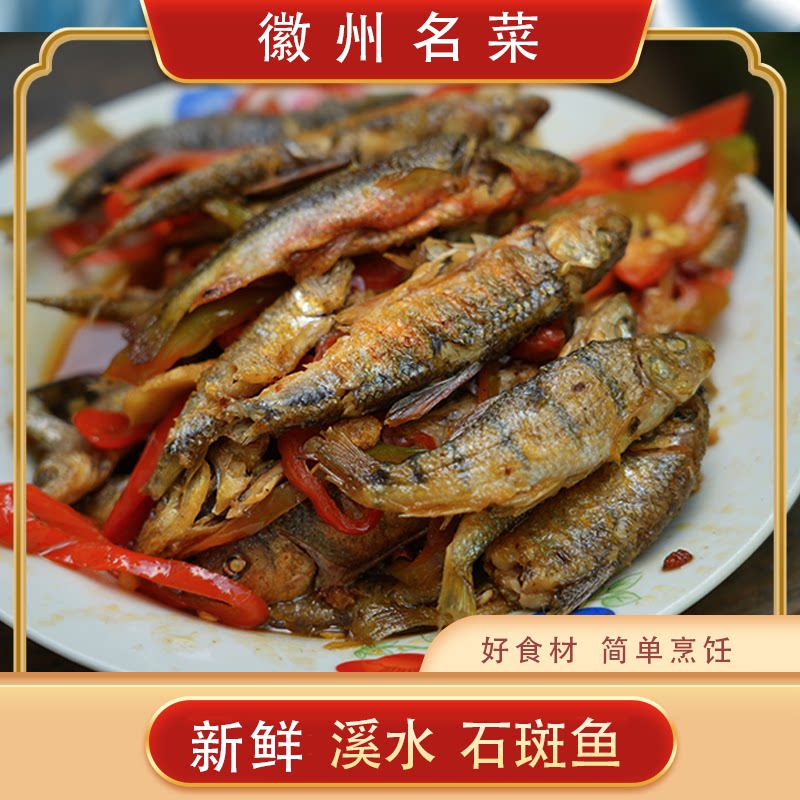 食用溪水石斑鱼生态冷水鱼活鱼保鲜现发鲜活水产