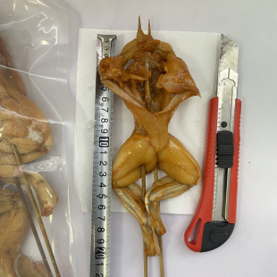 牛蛙串腌制冷冻田鸡串8支商用半成品烧烤铁板夜市摆摊网红小吃串