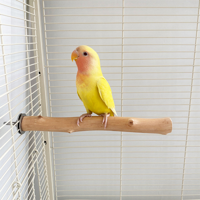 鹦鹉站杆野梨木天然原木牡丹和尚虎皮专用站杠啃咬磨嘴磨爪站架