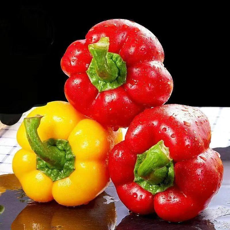 山东新鲜红黄五彩椒水果彩椒圆椒柿子椒生吃不辣灯笼椒现摘现发,水产肉类/新鲜蔬果/熟食,辣椒,淘宝优惠券,粉丝福利购,淘宝优惠卷