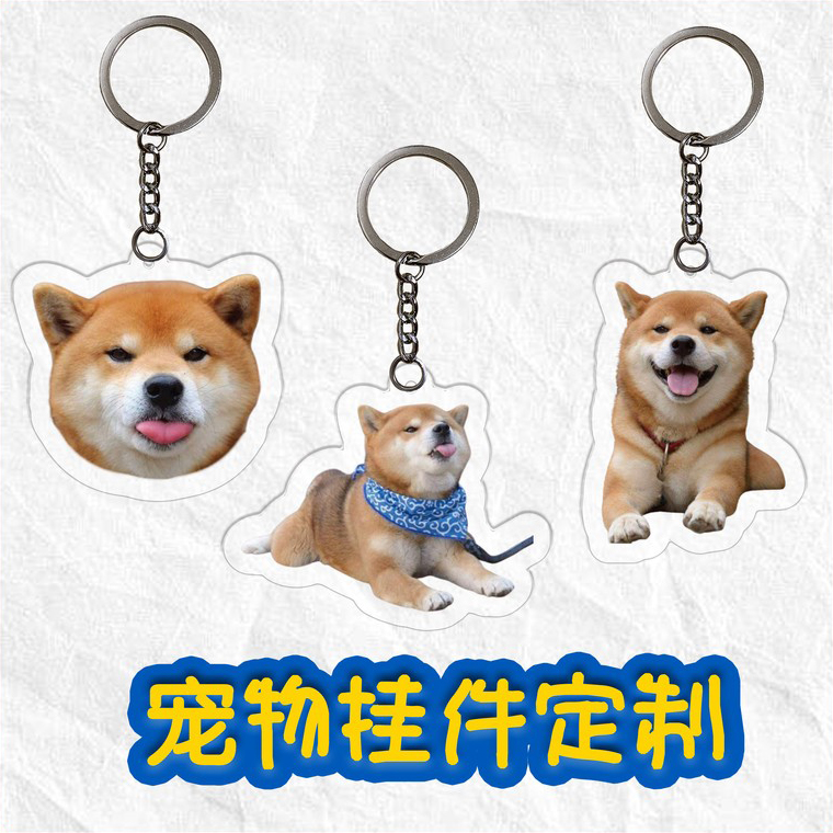 宠物照片挂件定制免费抠图