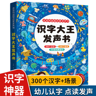 点读有声书识字大王3 会说话 6岁宝宝幼小衔接启蒙早教触摸发声