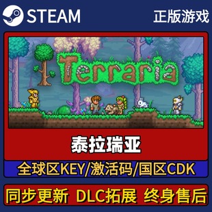 泰拉瑞亚 Steam正版游戏激活码CDK入库 Pc简中全DLC入库