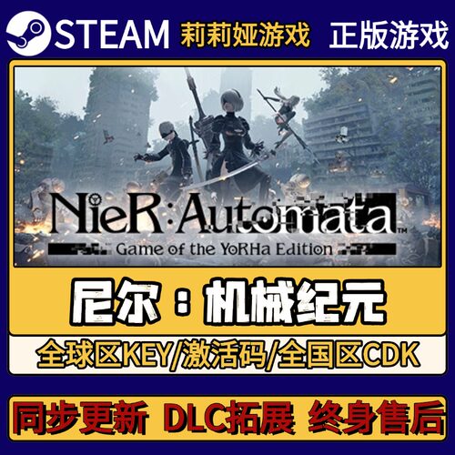 尼尔 机械纪元 Steam正版游戏激活码CDKEY入库 Pc简中全DLC激活
