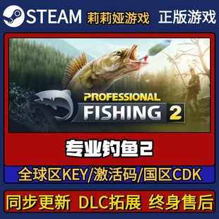 CDK入库 游戏激活码 Pc简中全DLC激活入库 Steam正版 专业钓鱼2