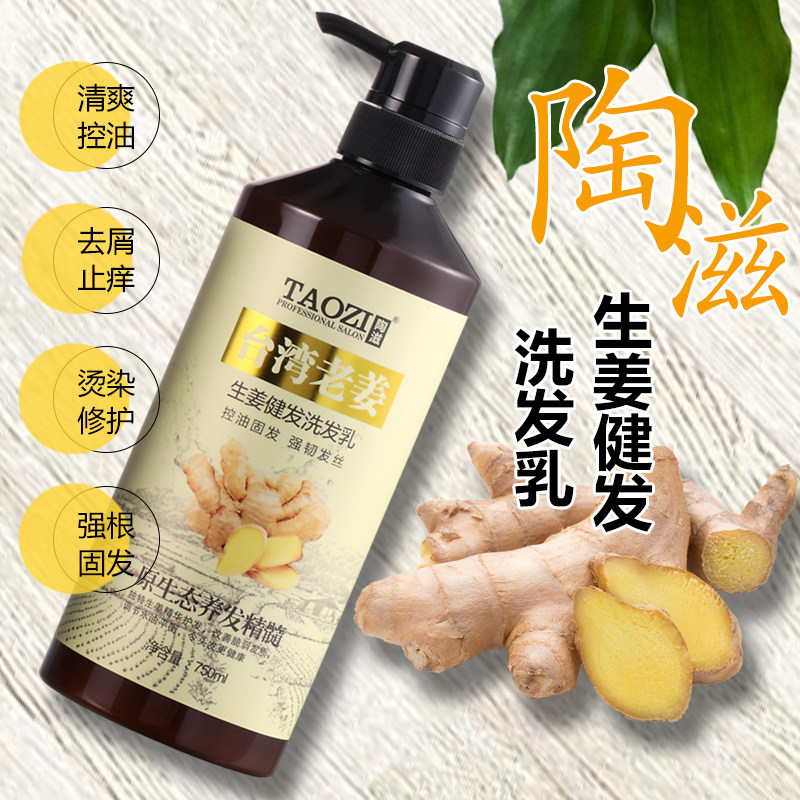 陶滋老姜洗发水生姜汁王热疗防脱去屑止痒控油蓬松理发店专用头膏