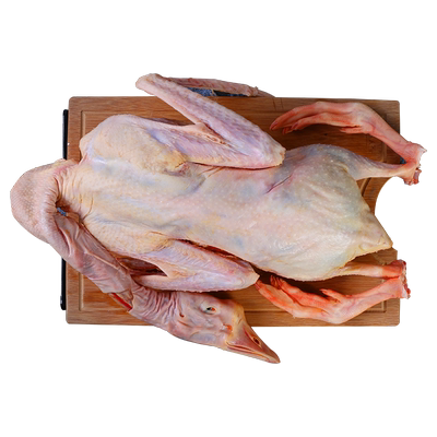 农场现杀鹅肉散养老鹅
