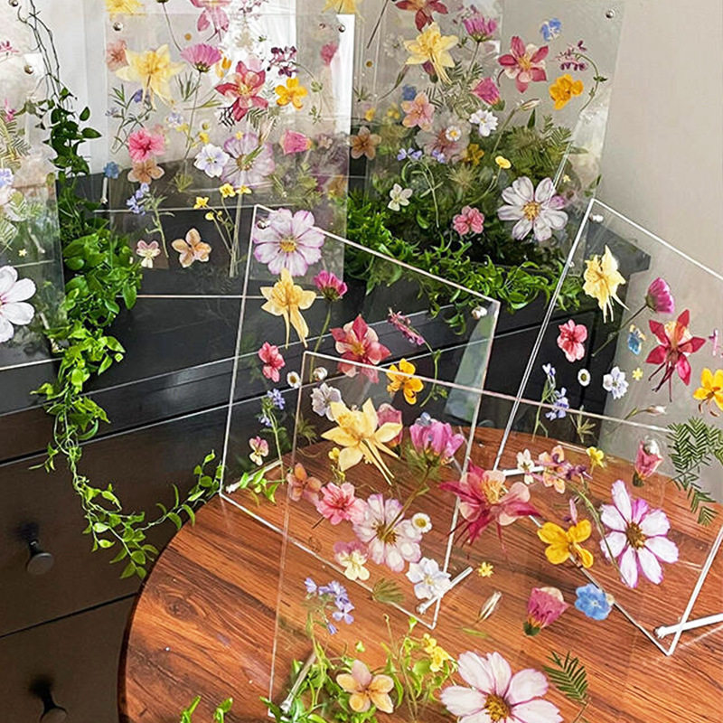 创意手工diy干花压花标本