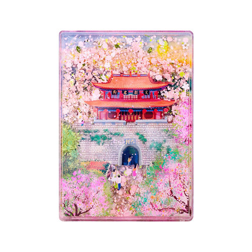 云南地标建筑大理古城AR
