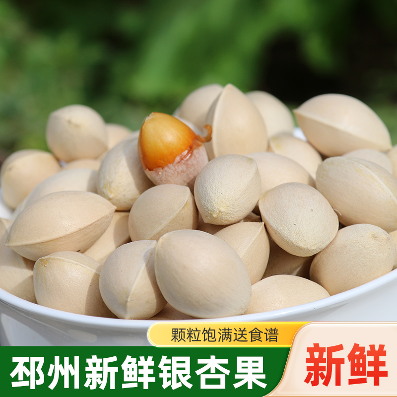 2025新鲜白果银杏果邳州特产