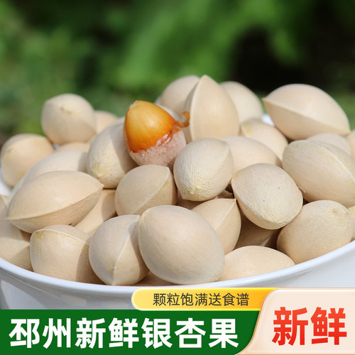 2025新鲜白果银杏果邳州特产