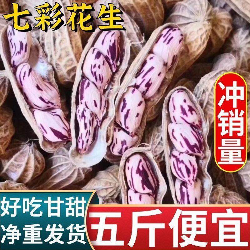云南特产七彩花生2024新货带壳晒干生熟富硒新鲜野地花生米豆图片
