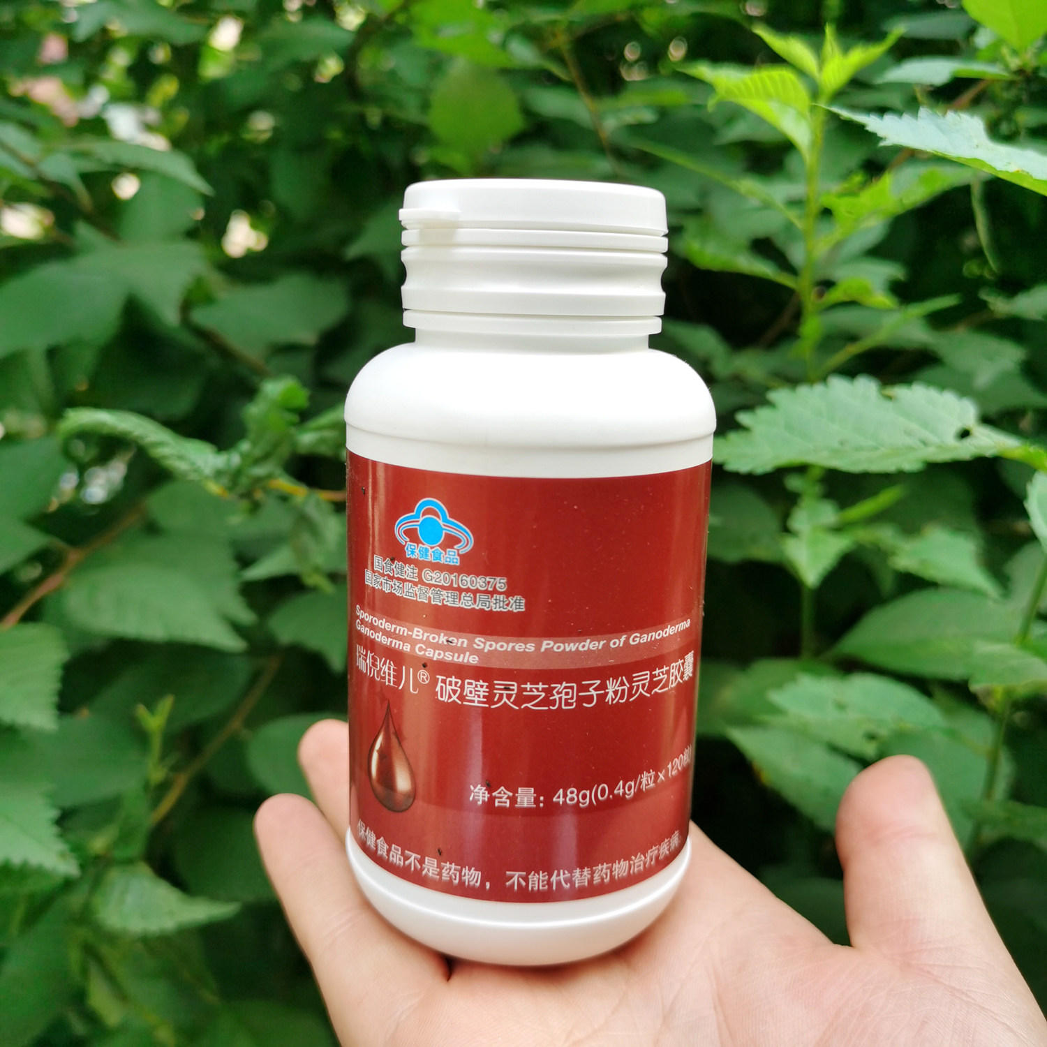 【灵芝】天津瑞倪维儿灵芝胶囊破壁灵芝孢子粉灵芝胶囊120粒