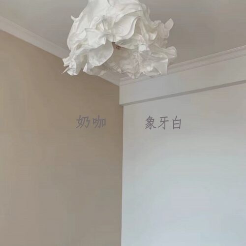 哑光面漆奶咖色乳胶漆