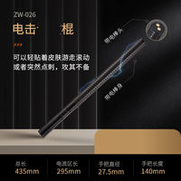 Tools: Electric shock rod, whip, butt spanking, punishment tool, horsewhip, butt spanking tool thumbnail 3