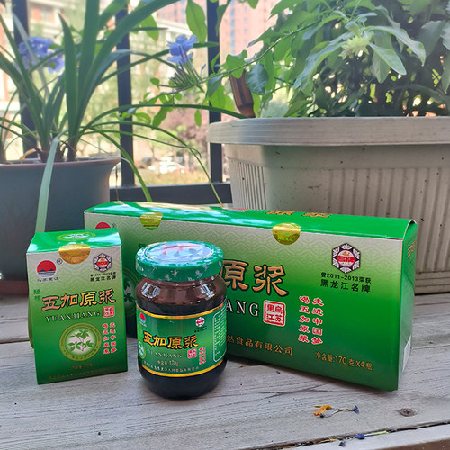 长白山带刺五加同属乌苏里江失促