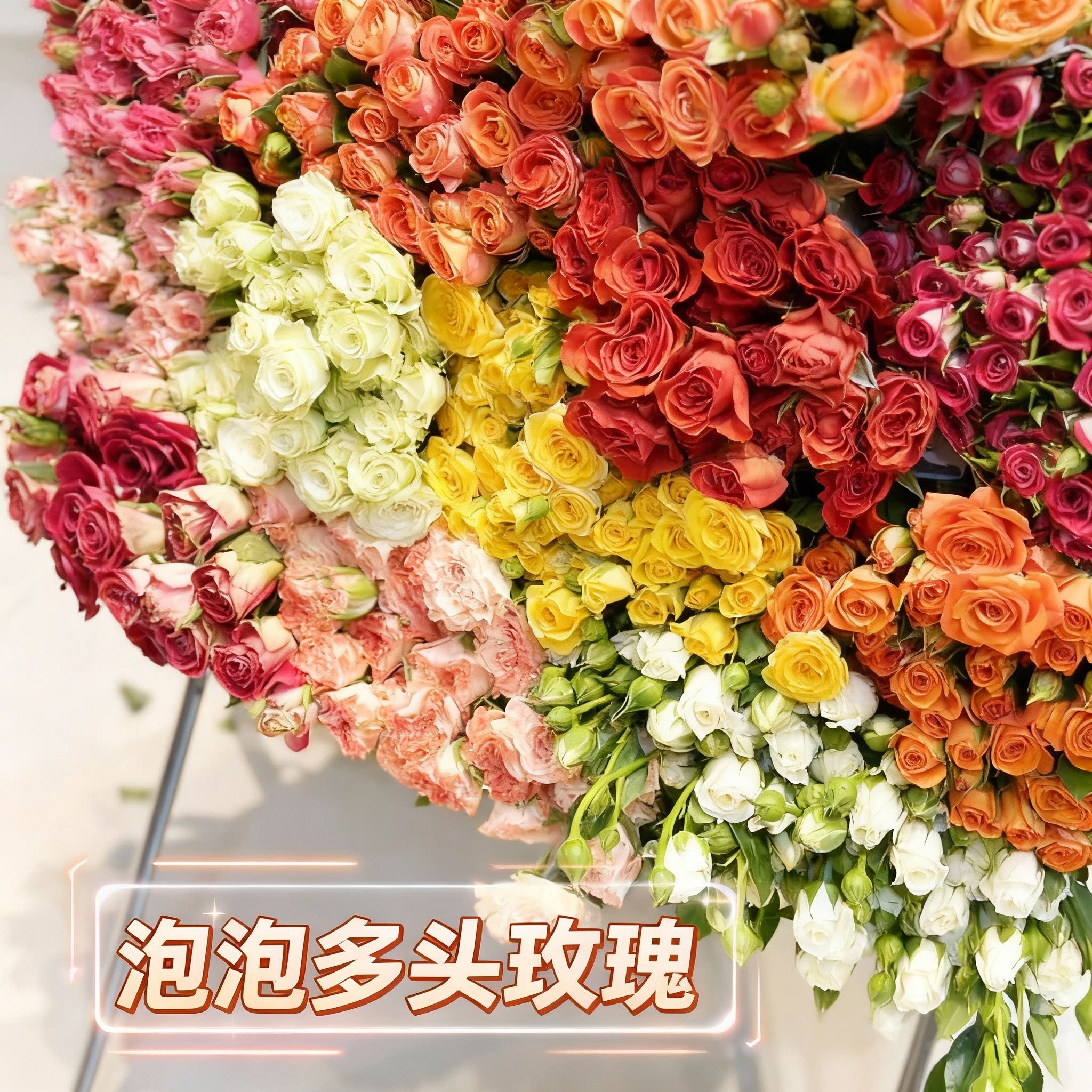 多头玫瑰鲜花云南基地插花花束客厅摆件拍摄造景花店花朵装饰摆设