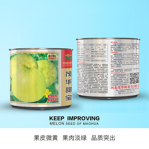 中科茂华芝麻新青绿宝石甜瓜种子