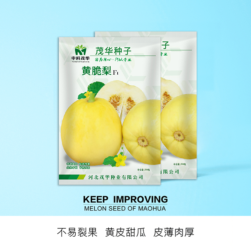 中科茂华瓜果种子茂华甜美甜妃黄脆梨杂交甜瓜种子肉厚