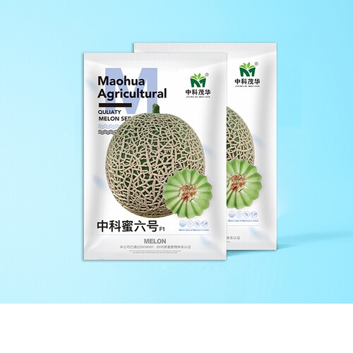 中科茂华瓜果种子中科蜜六号哈密瓜种子源自新疆