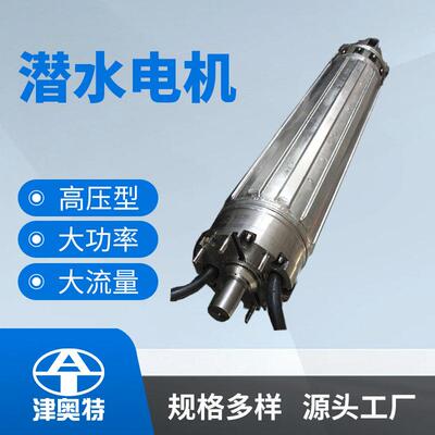 永磁不锈钢潜水电机同步潜水电动机效节能防水电机厂家发货