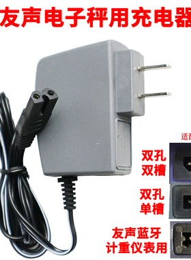 上海友声电子秤双孔充电器XK3100双槽电源线通用型台秤吊秤充电器