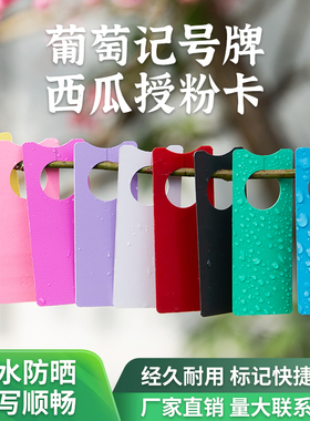 葡萄西瓜记号牌苗木瓜果授粉环扣标记卡花卉绿植园艺植物标签吊牌