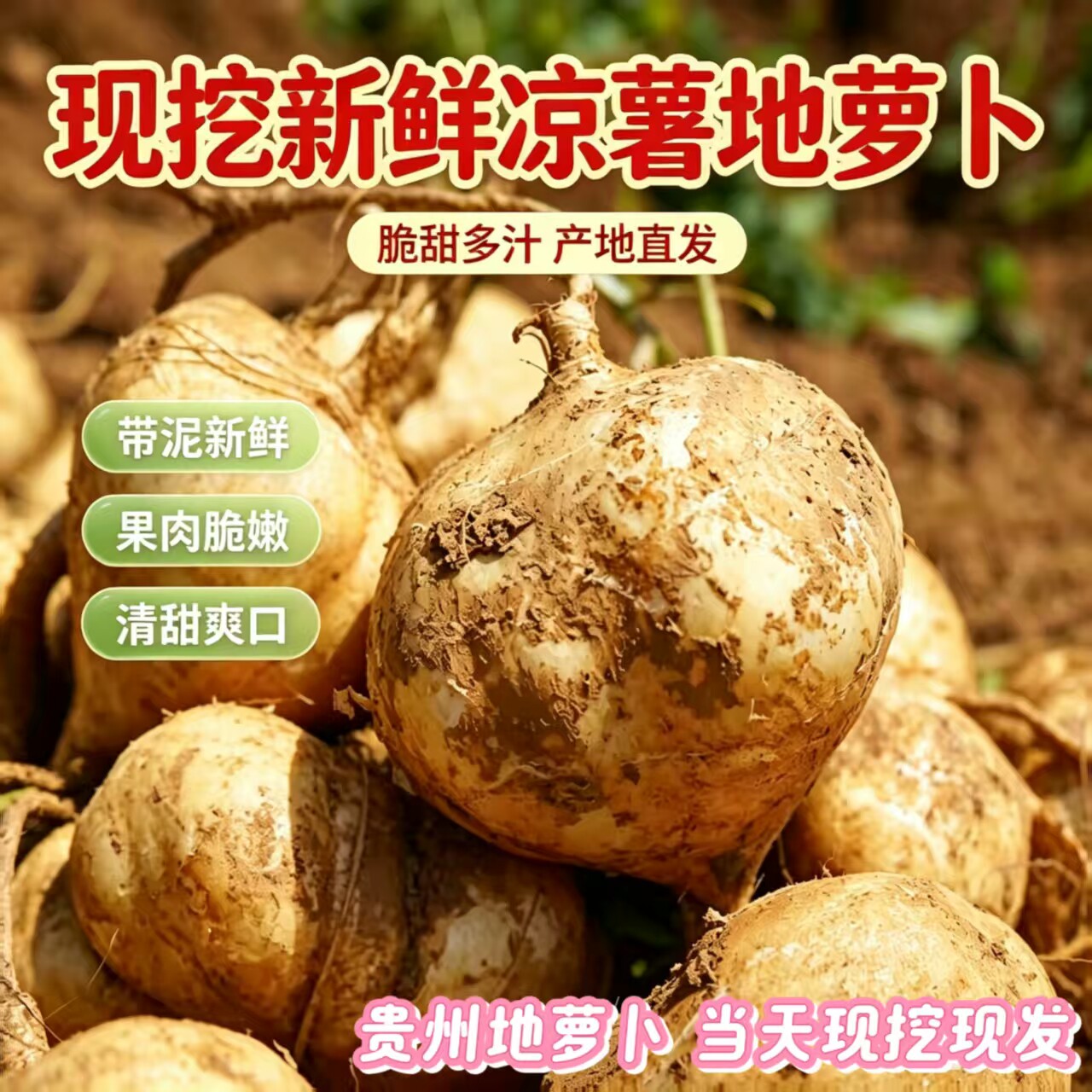 新鲜地瓜贵州沙葛地萝卜现挖即食