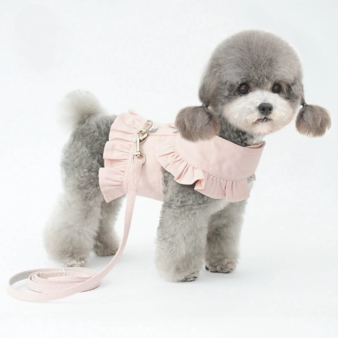 狗狗衣服牵引绳遛狗比熊狗绳小型犬狗宠物服装雨衣衬衫宠物狗服装