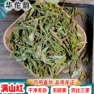 满山红中药材 满山红 映山红 迎山红 靠山红 山崩子 杜鹃叶