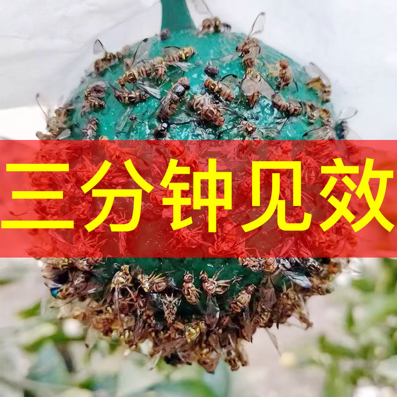 诱蝇球瓜果实蝇粘虫诱虫球果树园柑橘大针蜂贴沾胶板引诱剂诱捕器