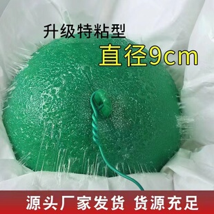粘虫球丝瓜果实蝇贴诱蝇球大针蜂马蜂引诱剂果蝇诱捕器双面黄板纸