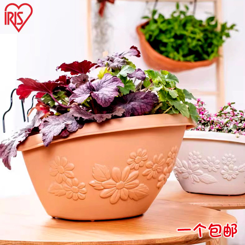 爱丽思树脂半圆壁挂浮雕花盆爱丽丝带挂钩绿萝花卉挂壁盆盆栽绿植