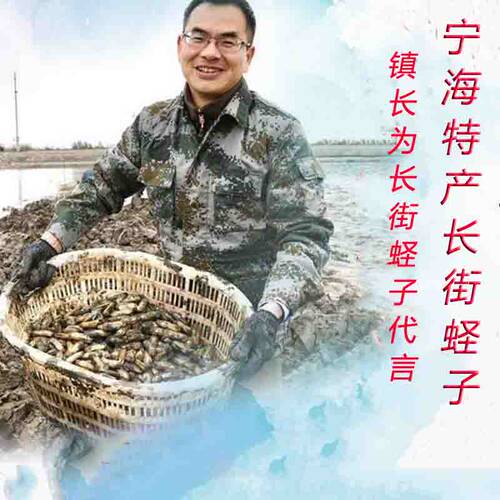 宁海特产长街蛏子鲜活海鲜水产