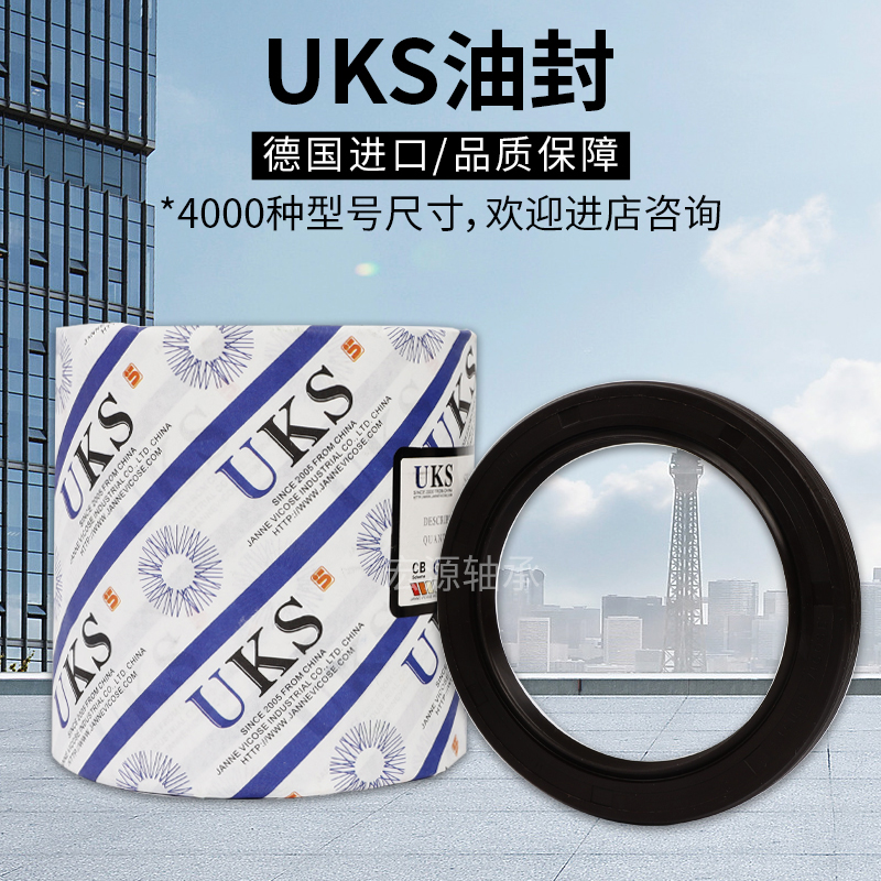 德国进口骨架油封密封圈6x15