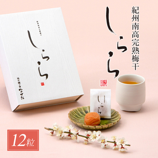 日本直邮中田食品和歌山纪州南高梅礼盒级大颗完熟梅干12枚伴手礼