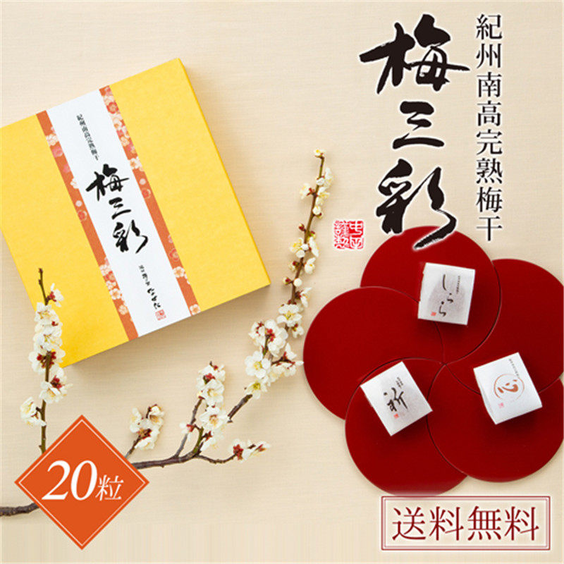 中田食品纪州特产南高完熟梅干