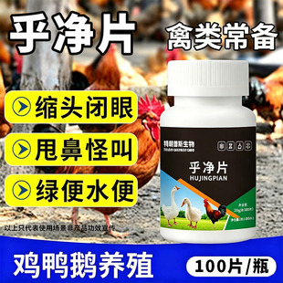 正品乎净片鸡鸭鹅受凉受冻伸脖子张嘴