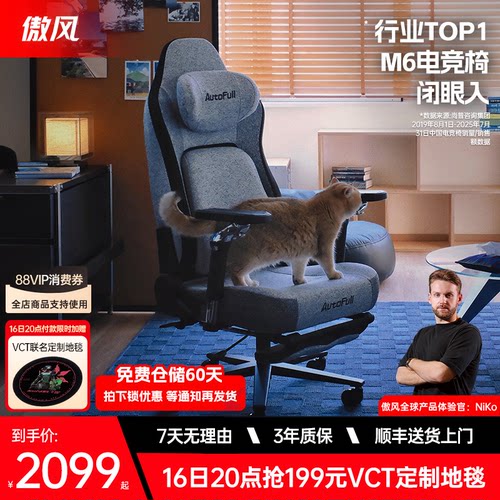 傲风M6电竞椅人体工学椅纳米织物