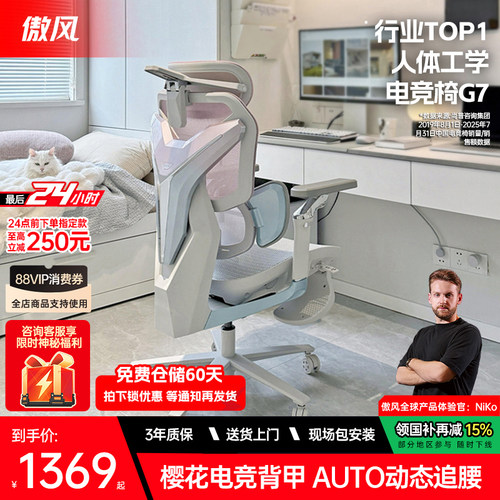人体工学电竞椅 3区AUTO追腰 电竞樱花背甲