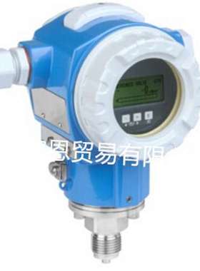 10W/10W40/10W50/10W65/10W80/10W3F/10W3H E+H/电磁流量Promag