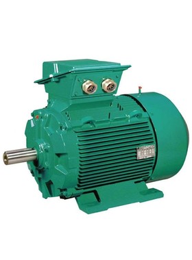 法国Leroy-Somer利莱森玛电机LS/LSES/FLSES/PLSES原装正品